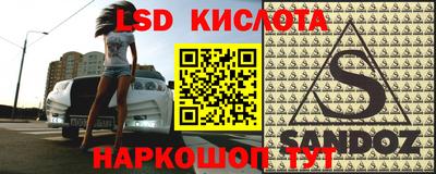 прущие грибы Ирбит