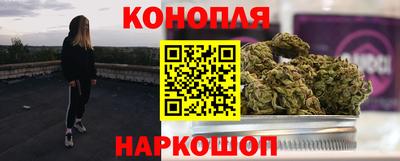 прущие грибы Ирбит